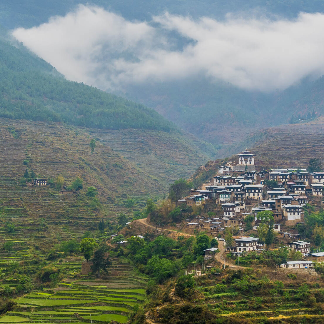 Housing on the terraces of hills on Bhutan